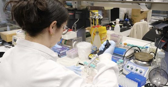 El Departament de Recerca i Universitats fomenta la transferència de coneixement amb ajuts per valor de més de 9 milions d'euros